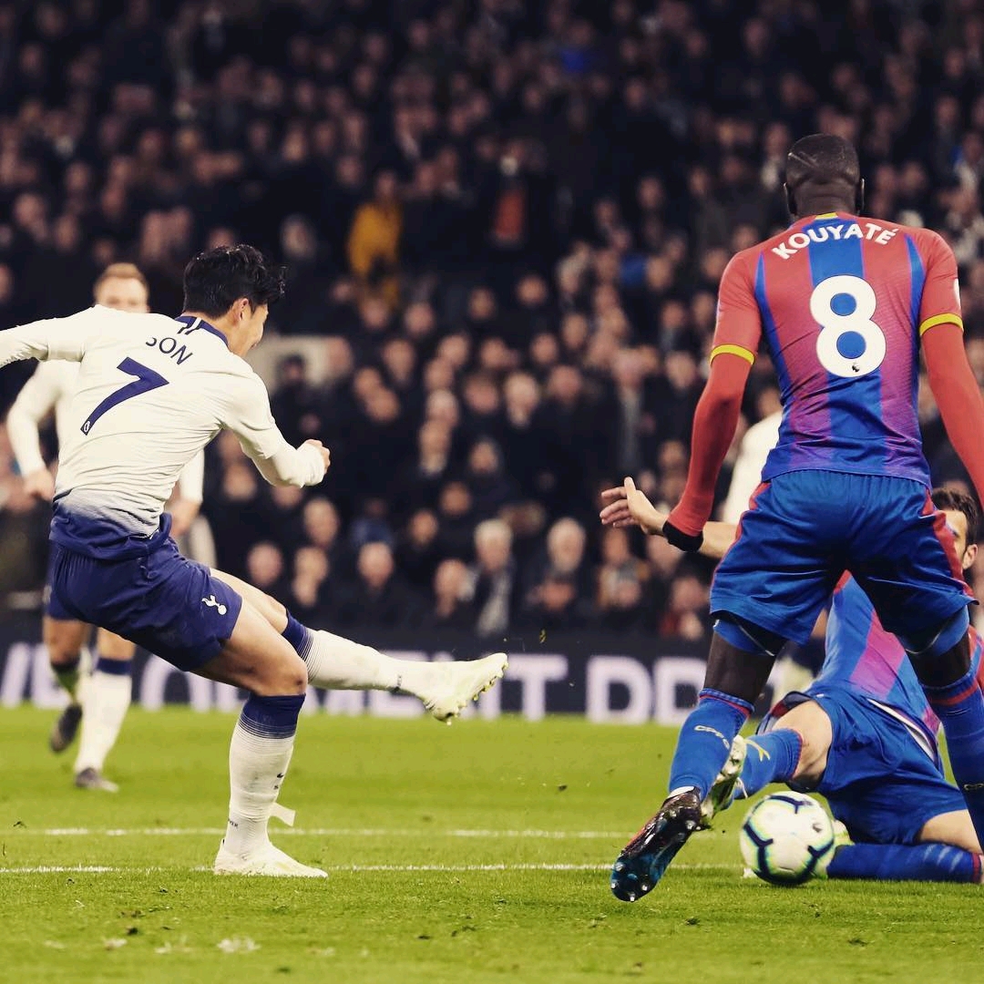 高年级学生 高年级学生