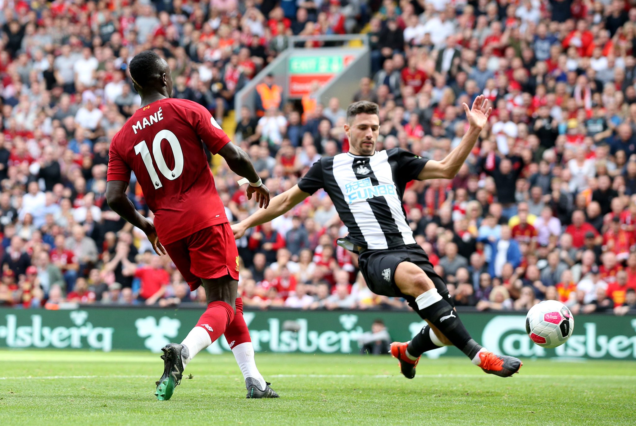 球迷的神经 球迷的神经